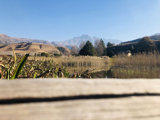 Winter view