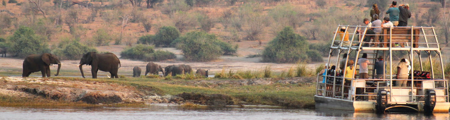 chobe river boat cruise safari