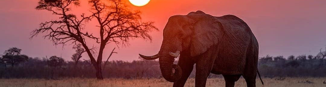 We are Chobe