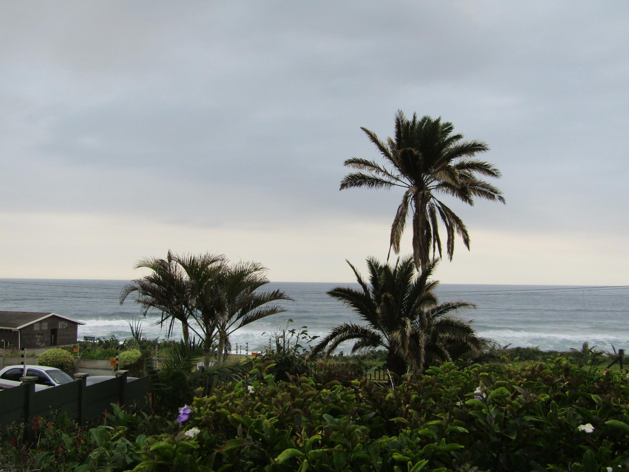 Experience the South Coast