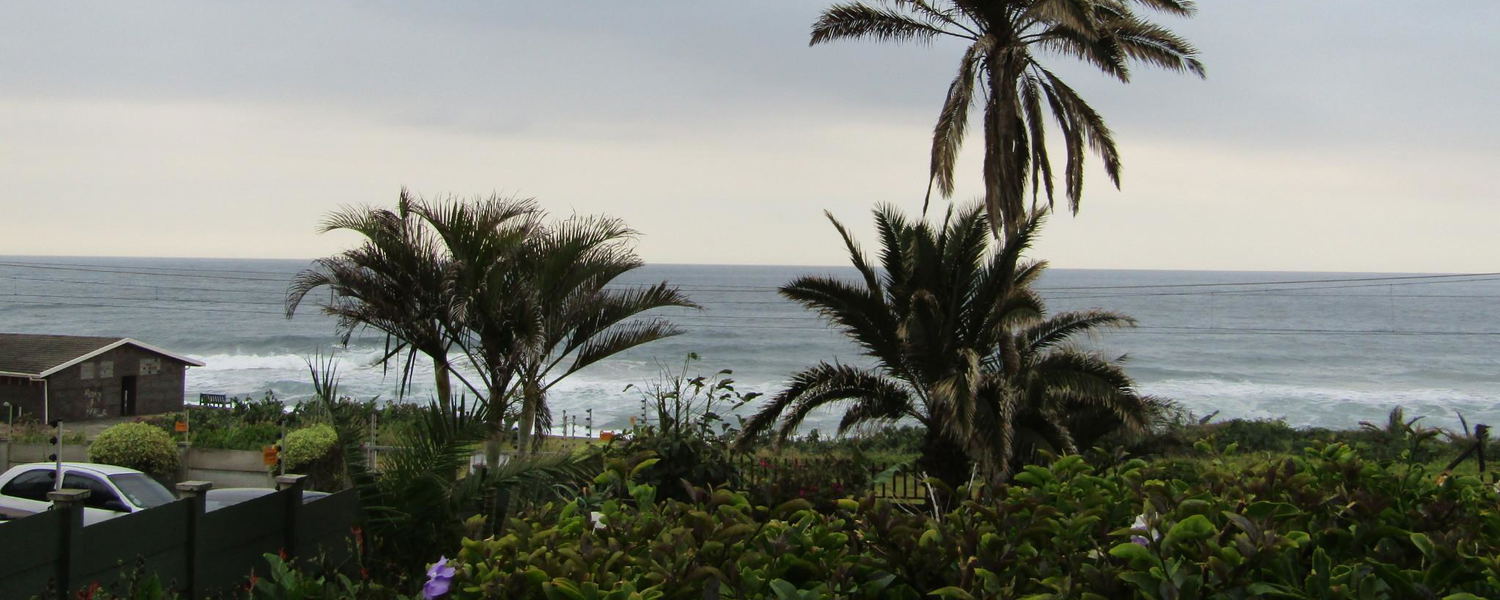 Experience the South Coast