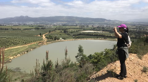 walking across buchu fields with a panoramic view of the wine lands