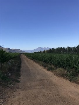 Winelands and mountains