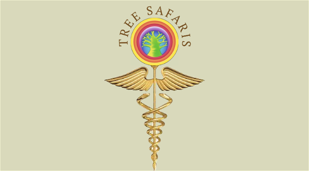 Tree Safaris logo and healing modalities at Olive Valley Spa