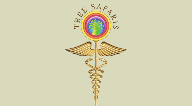 Tree Safaris logo and healing modalities at Olive Valley Spa Tree Safaris logo and healing modalities at Olive Valley Spa