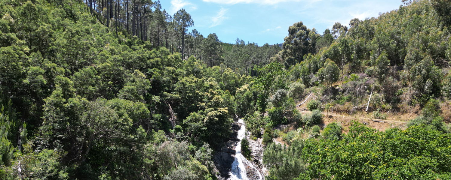 a stream cascading down the granite rock face forming the waterfall 