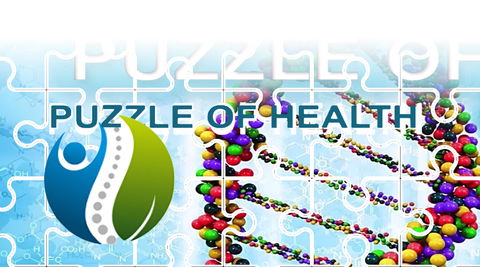 Health Workshop Puzzle of Health