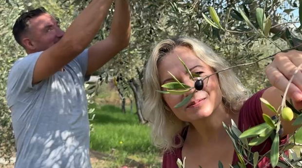 Olive picking in the waterfall valley olive grove Olive picking in the waterfall valley olive grove