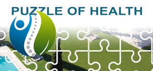 Puzzle of Health Weekend