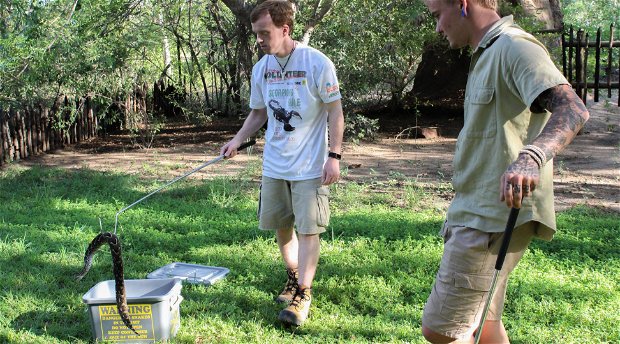 Khaya Hanci Lodge and Horse Trails offers a day tour to the Kinyonga Reptile Centre, the home of many reptilian species and a centre for research. See and touch snakes, lizards in a guided or self-guided tour. Khaya Hanci Lodge and Horse Trails offers a day tour to the Kinyonga Reptile Centre, the home of many reptilian species and a centre for research. See and touch snakes, lizards in a guided or self-guided tour.