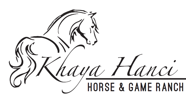 Khaya Hanci: Horse and Game Ranch near Hoedspruit