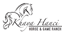 Khaya Hanci | Horse & Game Farm Experience in Limpopo, South Africa