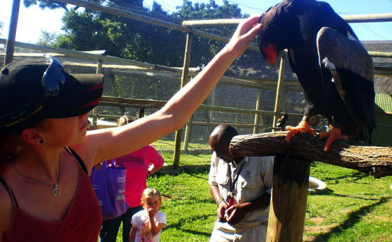 Moholoholo Rehabilitation Centre 