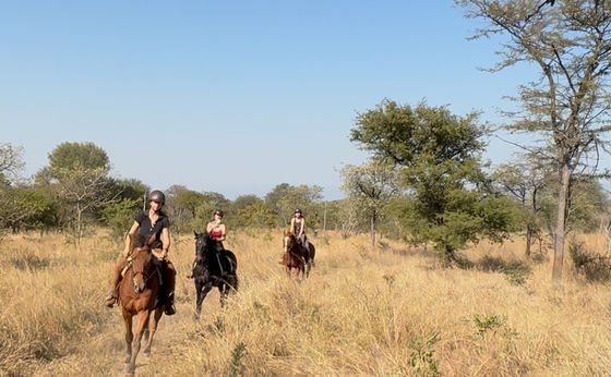 Prices and Conditions for Guided Trails at Khaya Hanci