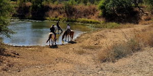 Horseback Rides