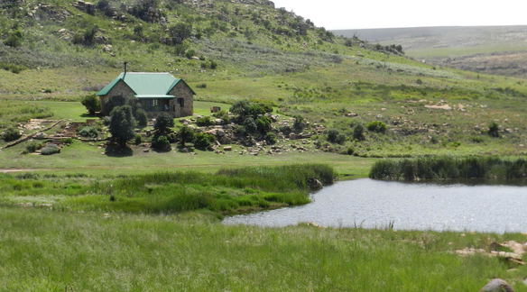 Accommodation