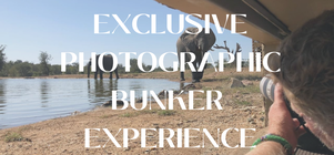 Photographic Bunker Experience