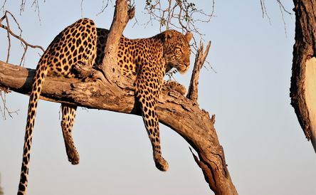 15% OFF | Exclusive Use Offer