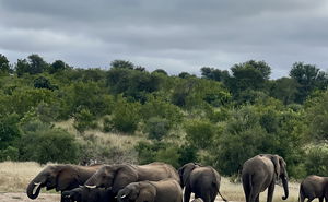 3-Night Bunker Experience