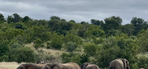 3-Night Bunker Experience