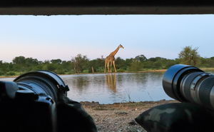 3-Night Bunker Experience