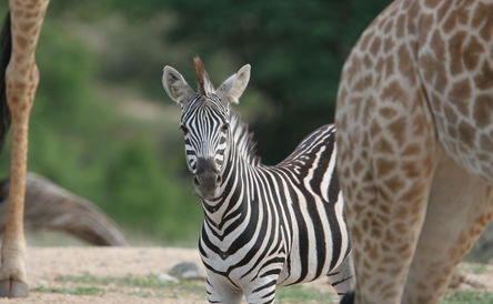 25% Last Minute Offer