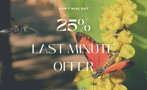 25% Last Minute Offer