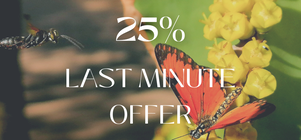 25% Last Minute Offer