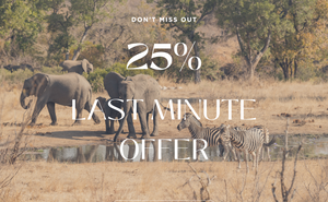 25% Last Minute Offer