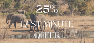 25% Last Minute Offer