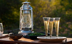 15% Early Booker Offer