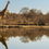 Dry Season — A Look Into Our Tribal Suites & Season Benefits