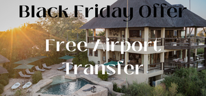 Exclusive Black Friday Offer: FREE Airport Transfer