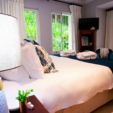 Luxe Garden Facing King or Twin Room