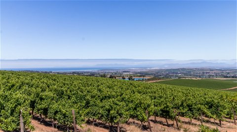 Sensational panoramic views sweep away to Cape Point from Longfield House.