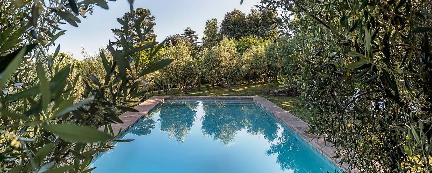 A inviting pool in the olive grove for any time of day dipping