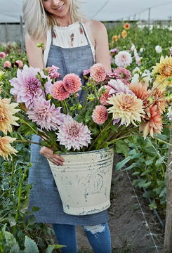 ADENE'S FLOWERS 