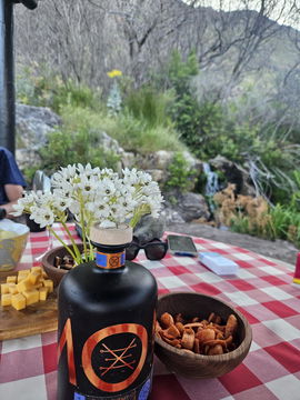 Camp Jana (4x4 mountain) Camp Jana (4x4 mountain)