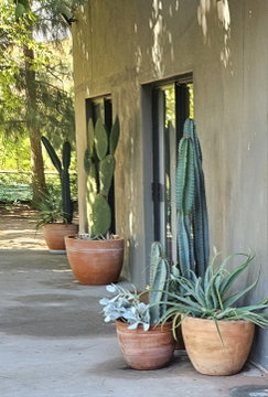 Country Manor stoep with succulents 