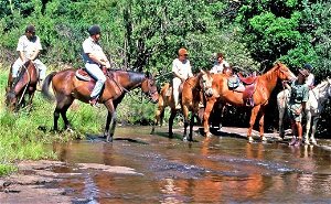 Horse Riding in the Breedekloof