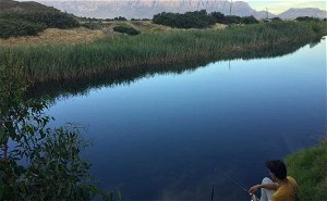 Fishing in the Breede Valley