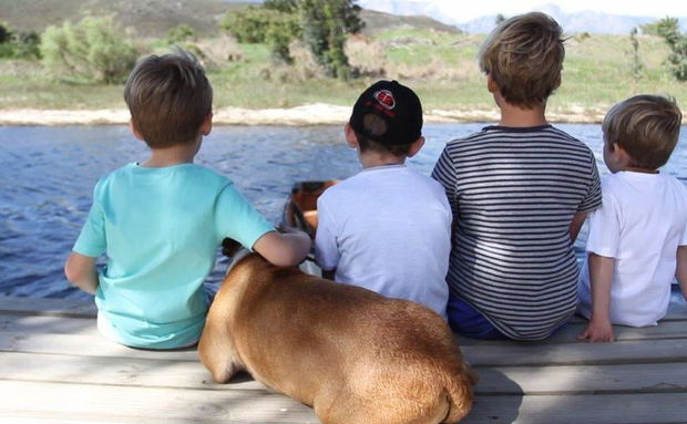 Pet and child friendly (excluding the cabin pods)