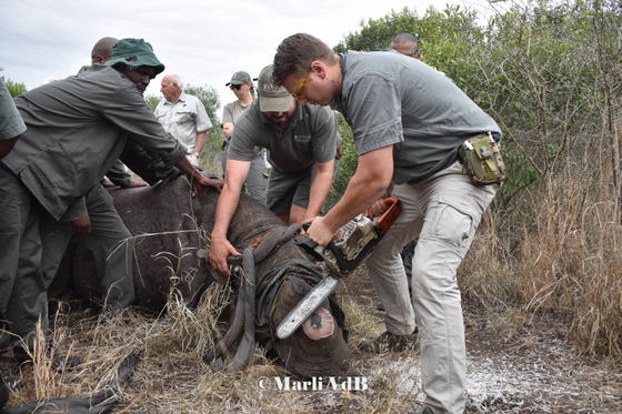 Conservation Work, Manyoni Private Game Reserve