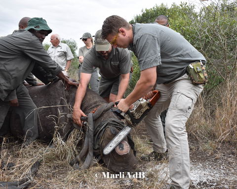 Manyoni Private Game Reserve, Conservation Work