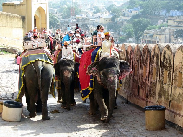 Tourists riding elephants, Amber Palace, Jaipur, India