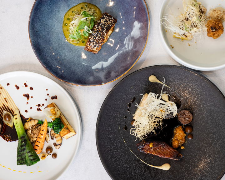 From Fine Dining to Casual Bites