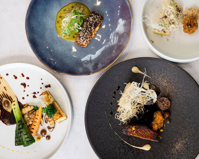 From Fine Dining to Casual Bites