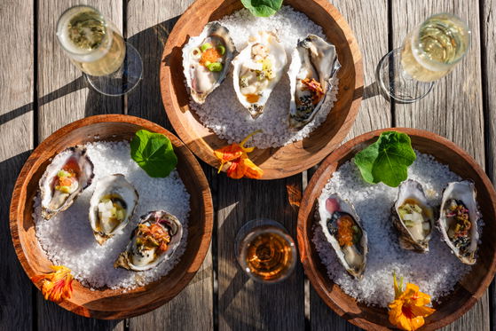 oyster and mcc pairing grande provence oyster bar franschhoek