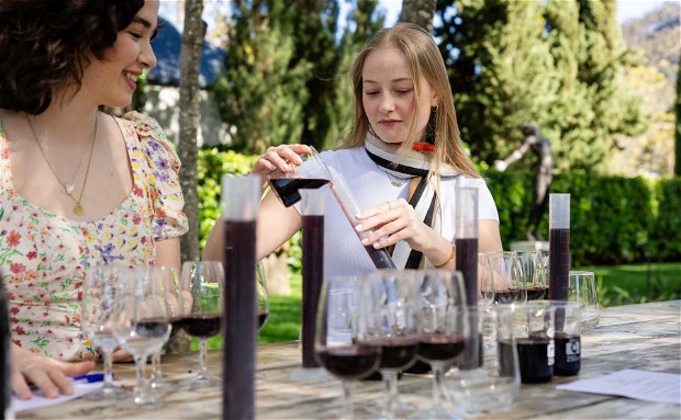 Wine Blending Experience at Grande Provence