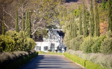 Tree-lined driveway leading to a white Cape Dutch–style house surrounded by greenery